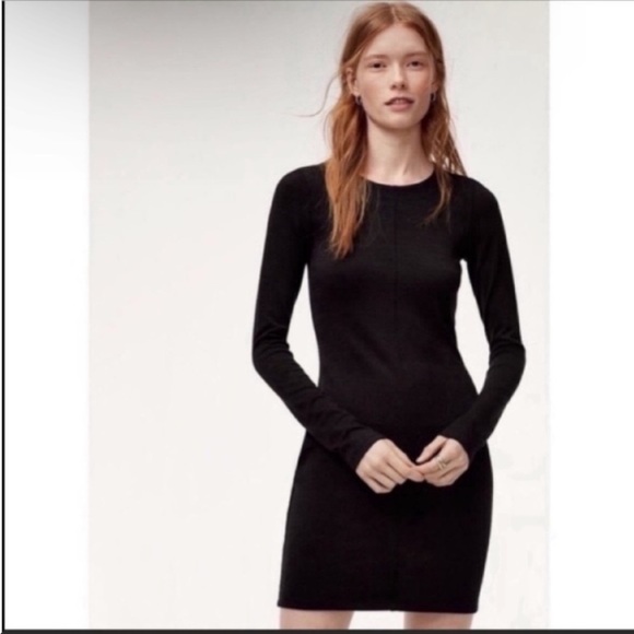 Aritzia | Dresses | Aritzia Wilfred 